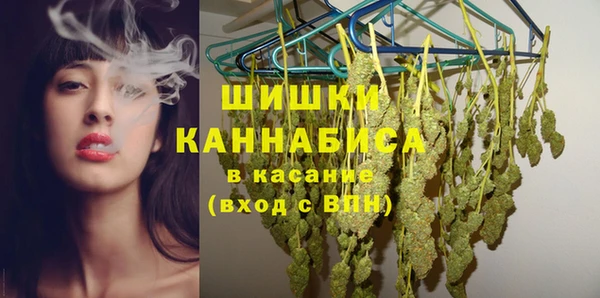 стаф Карпинск